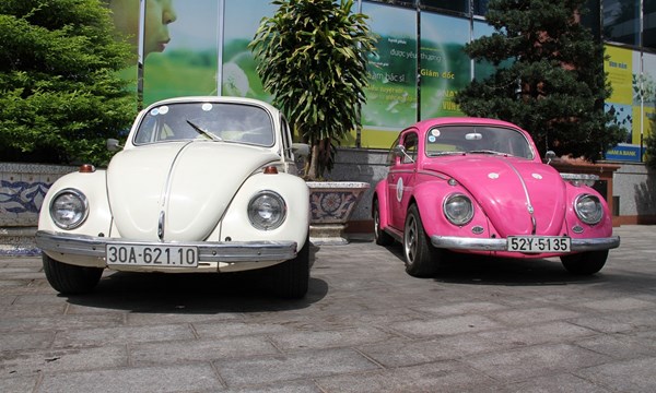 Xe con bọ VW cổ trắng dành cho sự kiện xe hoa cưới