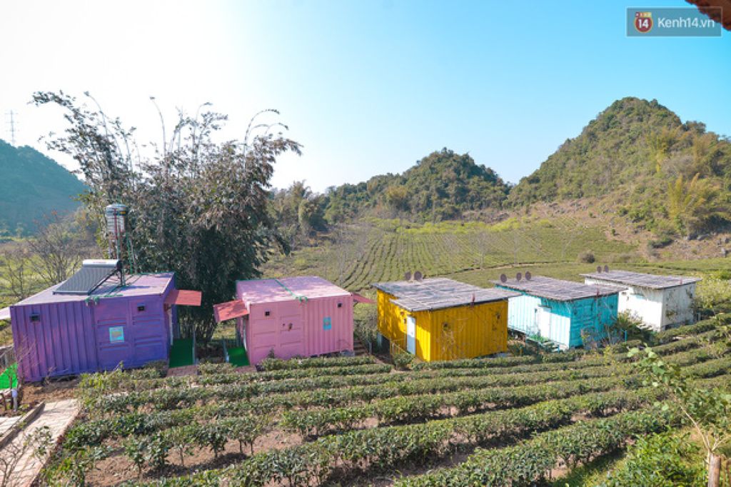 Trải nghiệm mới: Ngủ nhà container giữa sắc trời núi ngàn ở Mộc Châu