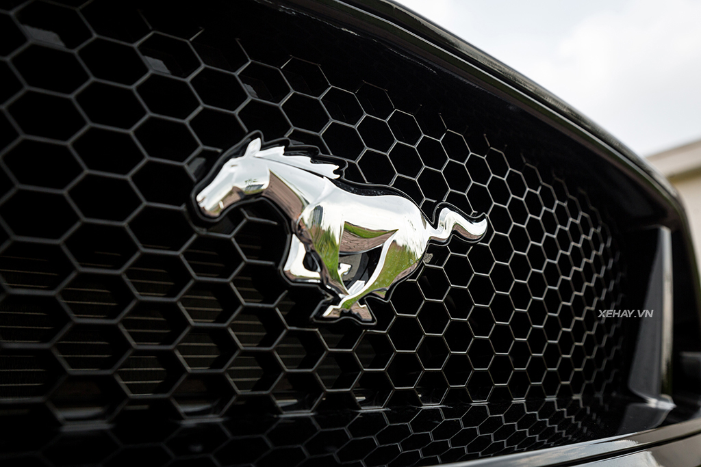ĐÁNH GIÁ XE] Ford Mustang GT 2019 - Ngựa không còn hoang! -
