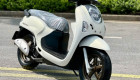 Honda Scoopy chuẩn bị được phân phối chính hãng tại Việt Nam: Cơ hội nào cho mẫu tay ga cỡ nhỏ?