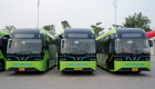 Liên Ninh chuyển đổi 100% sang xe buýt điện VinFast