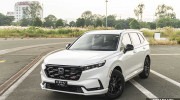 Xu hướng mua xe của người Việt 2025: Ưu tiên tiết kiệm, chọn tiện nghi, chuộng xe xanh