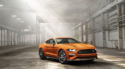 Ford Mustang High Performance 2020 sẽ mạnh mẽ 316 mã lực