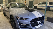 [VIDEO] Thiếu niên 14 tuổi bị cảnh sát truy đuổi như phim hành động vì ăn cắp Ford Mustang Shelby GT500