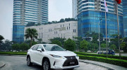 Lexus RX 350 2020 ra mắt tại Việt Nam, giá từ 4,12 tỷ đồng