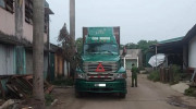 Hà Nội: Trèo cây hái nhãn, một tài xế xe Container ngã tử vong