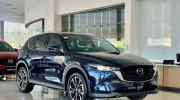 10 xe xăng dầu bán chạy nhất 5 tháng đầu năm 2026