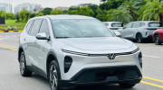 Limo Green cán mốc gần 60.000 xe sau một năm ra mắt, trở thành hiện tượng mới của thị trường Việt