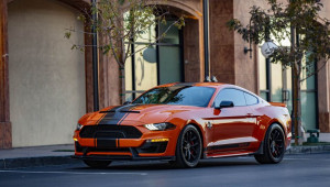 Mustang Shelby Super Snake 2020 cực ngầu trong bộ cánh 1970