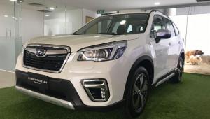 Lô xe Subaru Forester 2019 đầu tiên đã về Việt Nam, sẽ ra mắt trong tháng 7