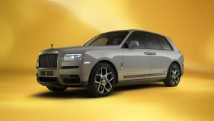 Mặc đồng phục nhân viên kĩ thuật của Ford vào đại lý trộm xe Rolls-Royce và Bentley ngay giữa ban ngày