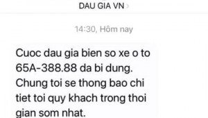 Biển số 65A-388.88 bất ngờ bị dừng đấu giá giữa chừng