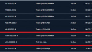 Những biển số trúng đấu giá cao trong ngày 21/11: Biển số TP.HCM chốt giá gần 1,6 tỷ đồng