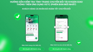 Cá nhân nước ngoài, doanh nghiệp được lùi thời hạn chuyển đổi tài khoản giao thông đến 31/12