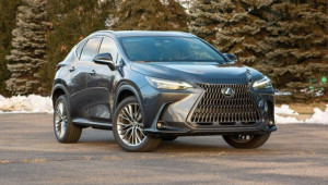 Lexus triệu hồi dòng xe NX350 để cập nhật phần mềm điều khiển phanh